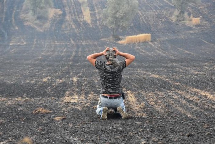 Gelibolu'da tarlaları yanan köylülerin üzüntüsü -1