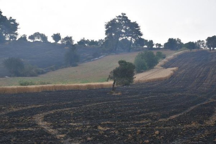 Gelibolu'da tarlaları yanan köylülerin üzüntüsü -10