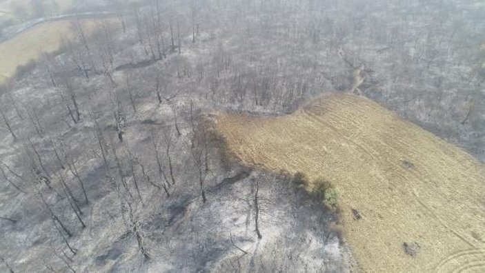 Gelibolu'da tarlaları yanan köylülerin üzüntüsü -4