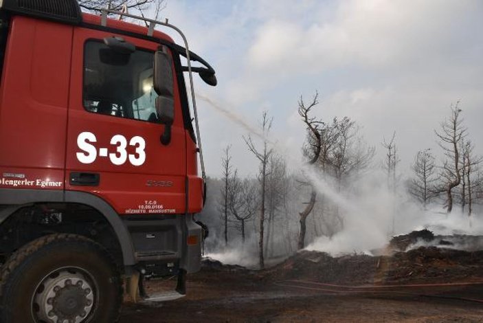 Gelibolu'da tarlaları yanan köylülerin üzüntüsü -9