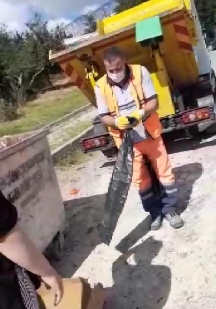 Küçükçekmece'de çöp konteynerinde 16 kedi ölüsü bulundu -2