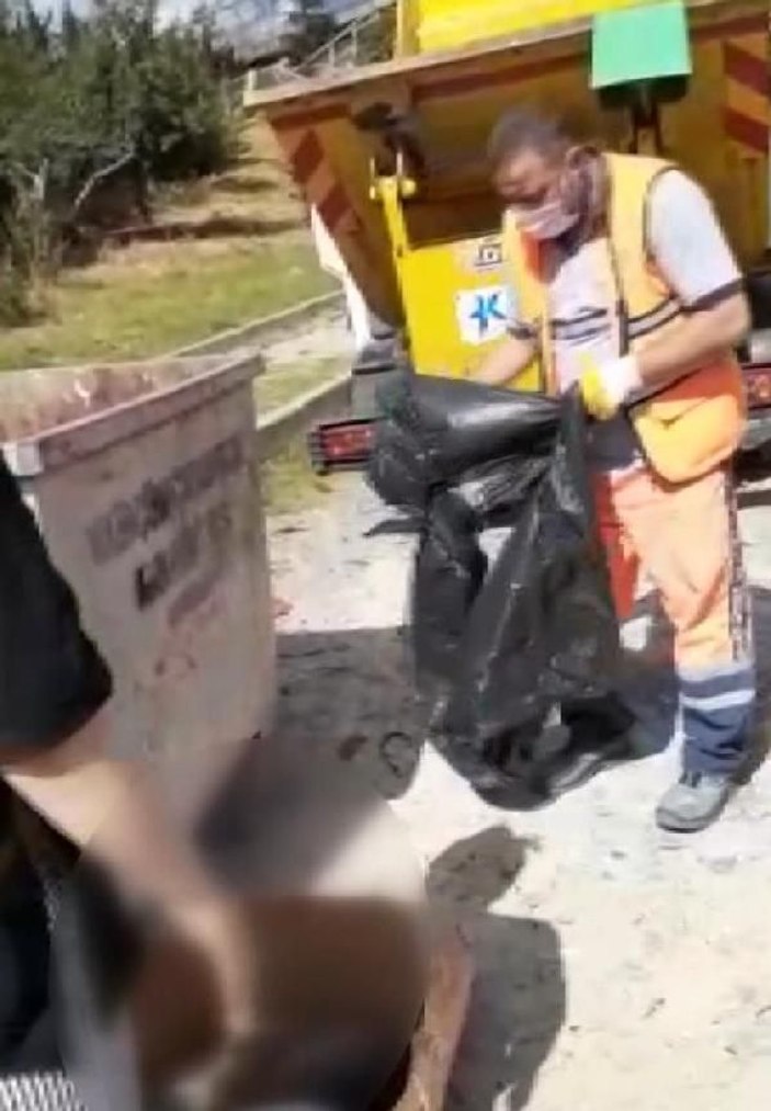 Küçükçekmece'de çöp konteynerinde 16 kedi ölüsü bulundu -4