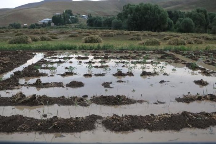 Yüksekova'da sel ekili tarım arazilerine zarar verdi -5