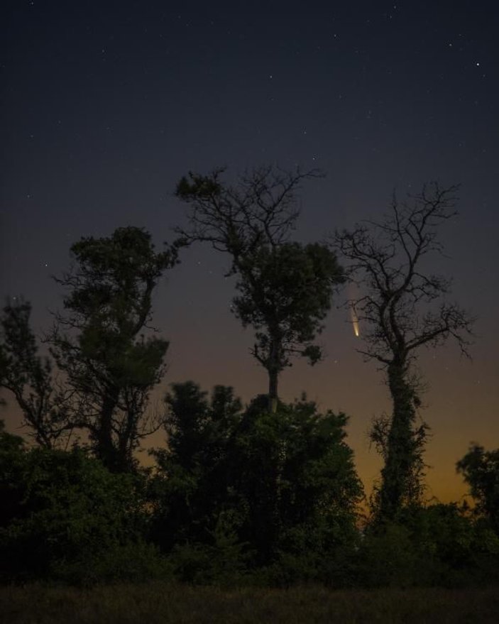 Neowise kuyruklu yıldızını, longoz ormanlarından fotoğrafladı -2