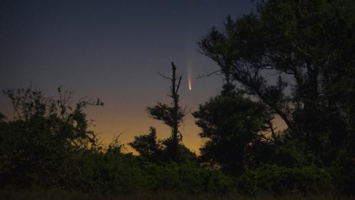 Neowise kuyruklu yıldızını, longoz ormanlarından fotoğrafladı -1