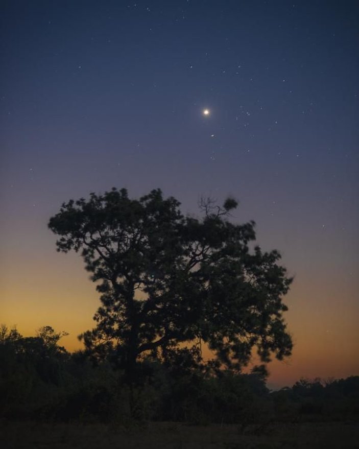 Neowise kuyruklu yıldızını, longoz ormanlarından fotoğrafladı -4