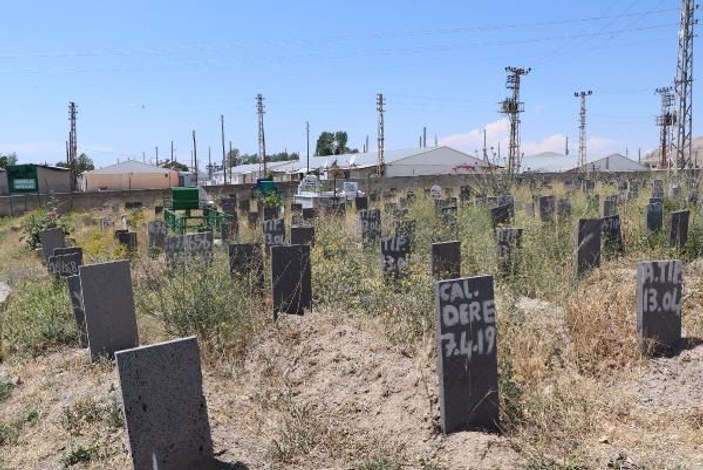 Van'daki kimsesizler mezarlığına yaklaşık 1,5 yılda  92 göçmen defnedildi -5