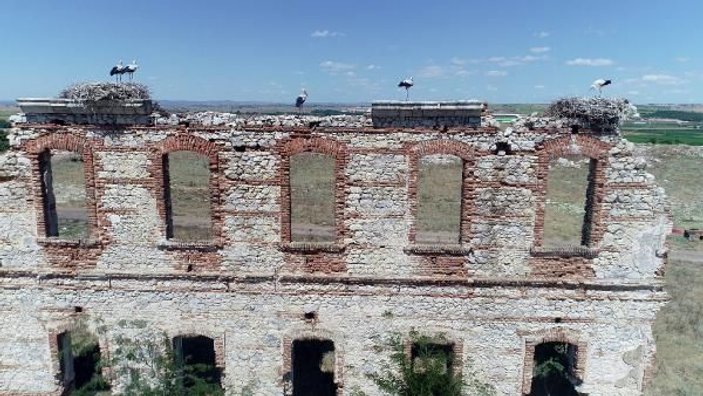 Edirne'de tarihi binalar leyleklerin yuvası oldu -10