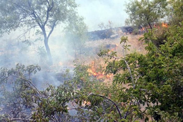 Bahçe temizliği ateşi orman yangınına neden oldu -7