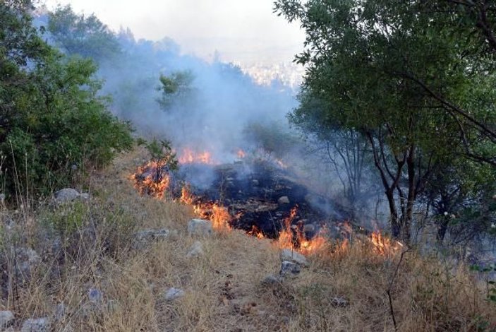 Bahçe temizliği ateşi orman yangınına neden oldu -10