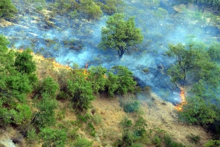 Bahçe temizliği ateşi orman yangınına neden oldu -2