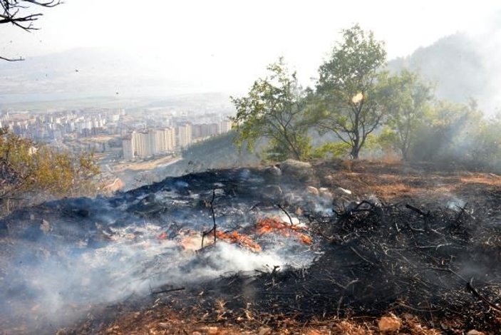 Bahçe temizliği ateşi orman yangınına neden oldu -5