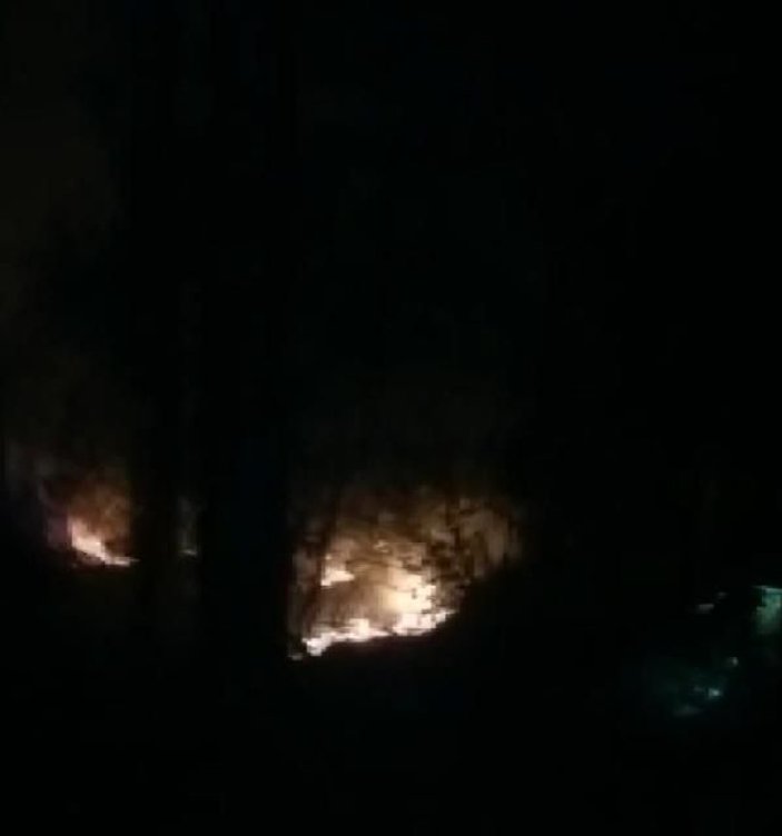 Sarıyer'de ormanlık alanda yangın -2