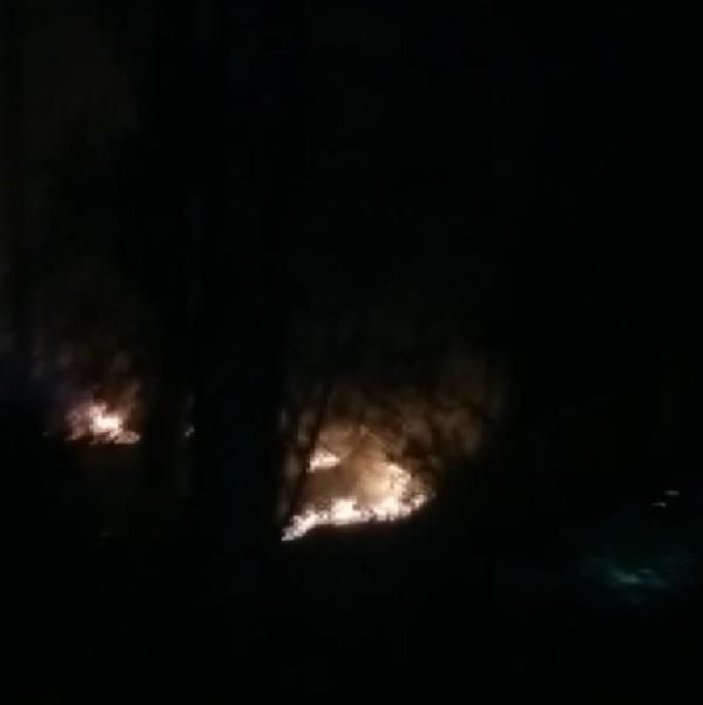 Sarıyer'de ormanlık alanda yangın -1