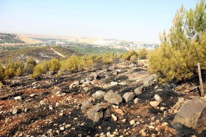 Gaziantep'te orman yangını: 2 hektar alan zarar gördü -10