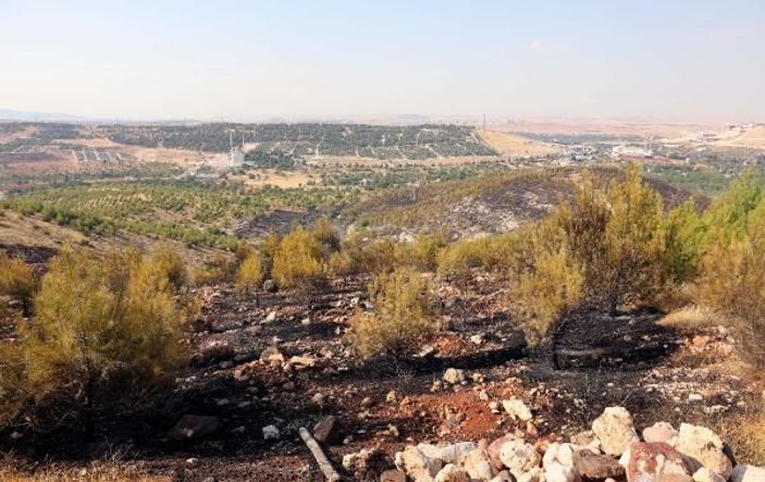 Gaziantep'te orman yangını: 2 hektar alan zarar gördü -5