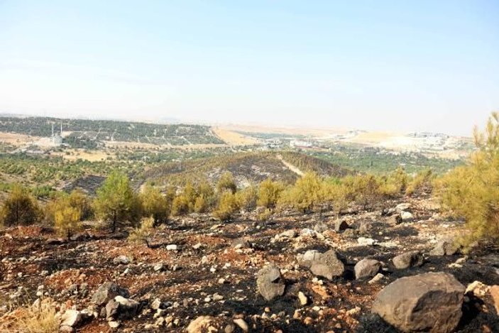 Gaziantep'te orman yangını: 2 hektar alan zarar gördü -8