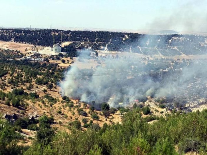 Gaziantep'te orman yangını: 2 hektar alan zarar gördü -4