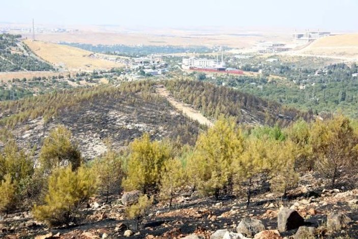Gaziantep'te orman yangını: 2 hektar alan zarar gördü -3