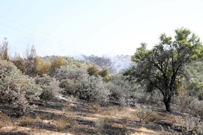 Gaziantep'te orman yangını: 2 hektar alan zarar gördü -2