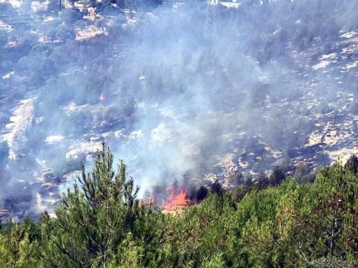 Gaziantep'te orman yangını: 2 hektar alan zarar gördü -9