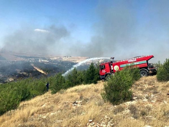 Gaziantep'te orman yangını: 2 hektar alan zarar gördü -1