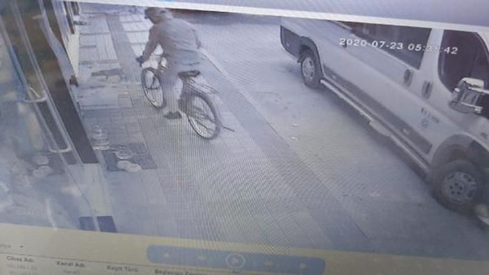 Genç kızın doğum günü hediyesi yavru köpeği çalan hırsız güvenlik kamerasında -1
