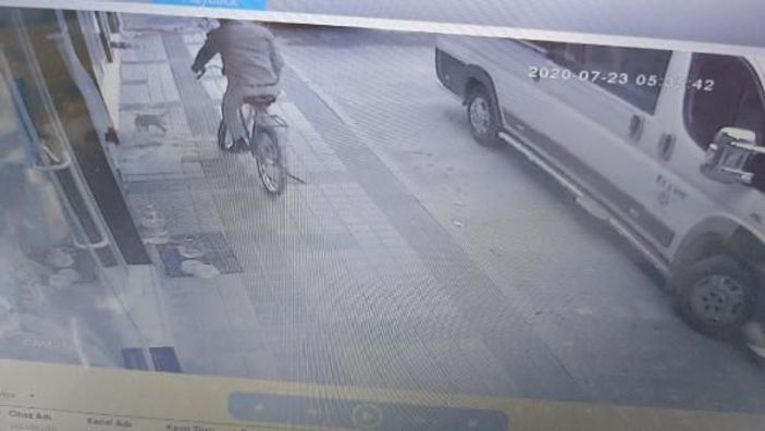 Genç kızın doğum günü hediyesi yavru köpeği çalan hırsız güvenlik kamerasında -6