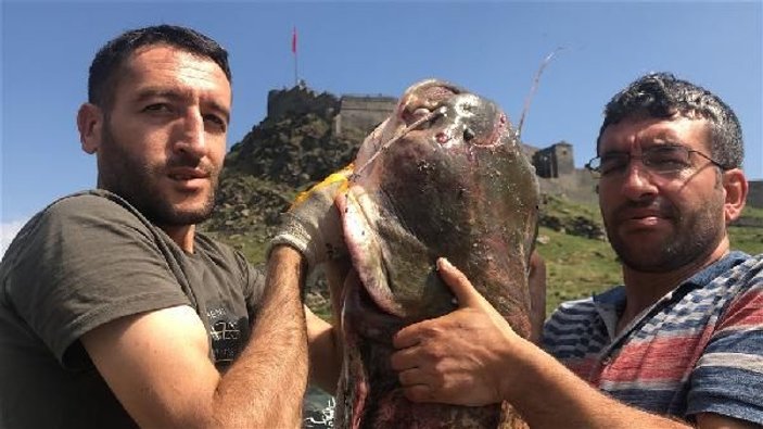 Kars'ta iki kardeş dev yayın balığı yakaladı -9
