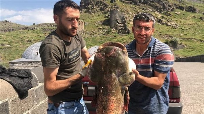Kars'ta iki kardeş dev yayın balığı yakaladı -6