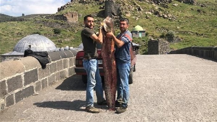 Kars'ta iki kardeş dev yayın balığı yakaladı -7