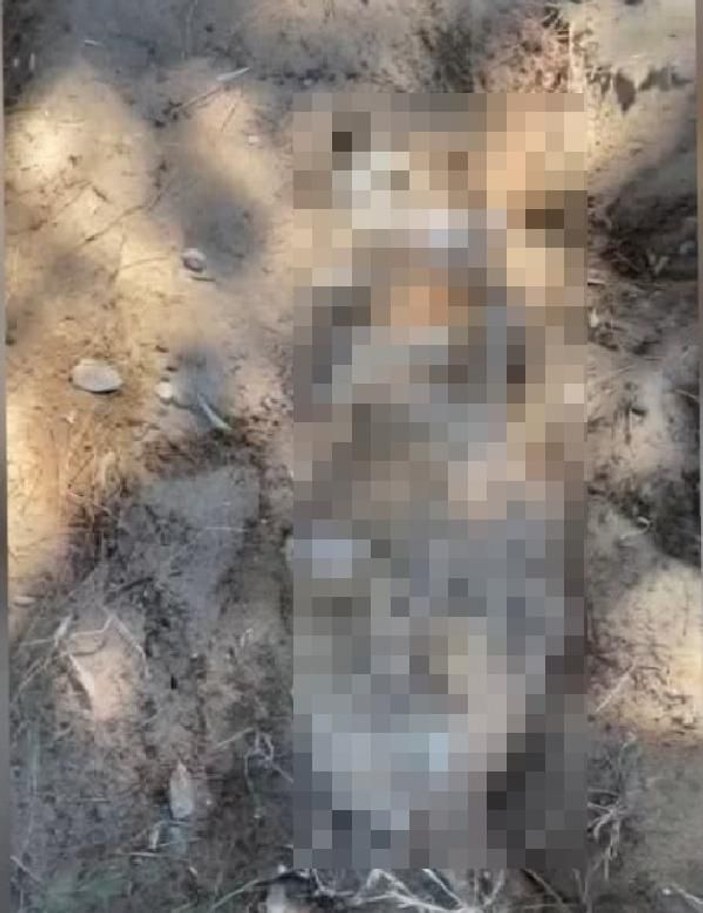 Emekli albayın öldürdüğü öne sürülen köpek, kumsalda gömülü bulundu -1