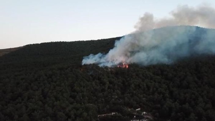 Ataşehir Kayışdağı'nda orman yangını -2 -4