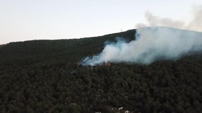Ataşehir Kayışdağı'nda orman yangını -2 -5