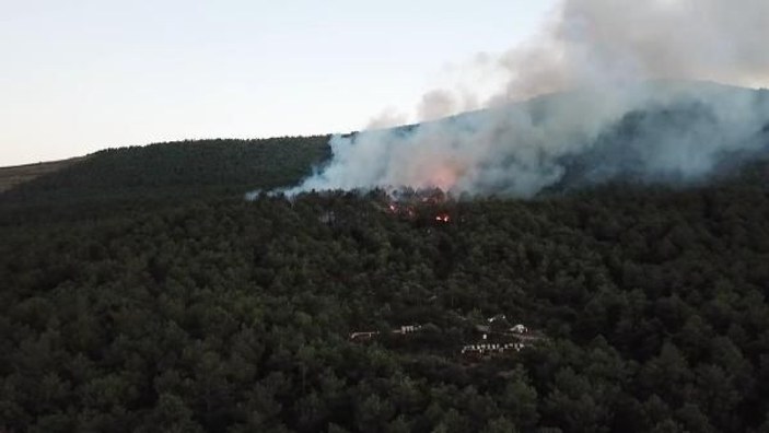 Ataşehir Kayışdağı'nda orman yangını -2 -1