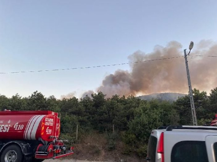 Ataşehir Kayışdağı'nda orman yangını -1 -1