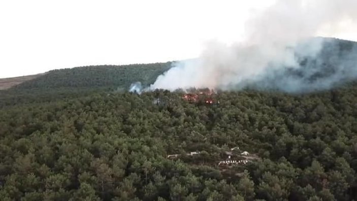 Ataşehir Kayışdağı'nda orman yangını -2 -3