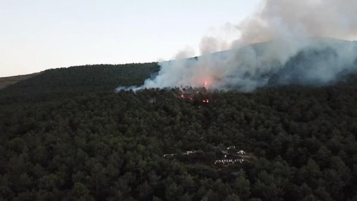 Ataşehir Kayışdağı'nda orman yangını -2 -2