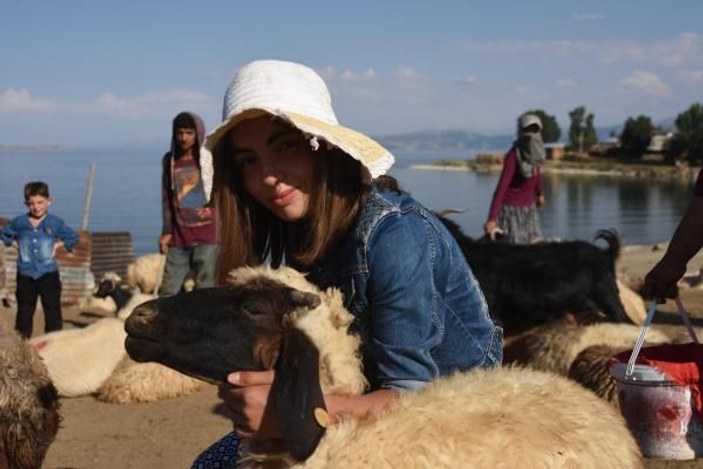 Bitlis’te koyunların tozlu ve zorlu yolculuğu -6