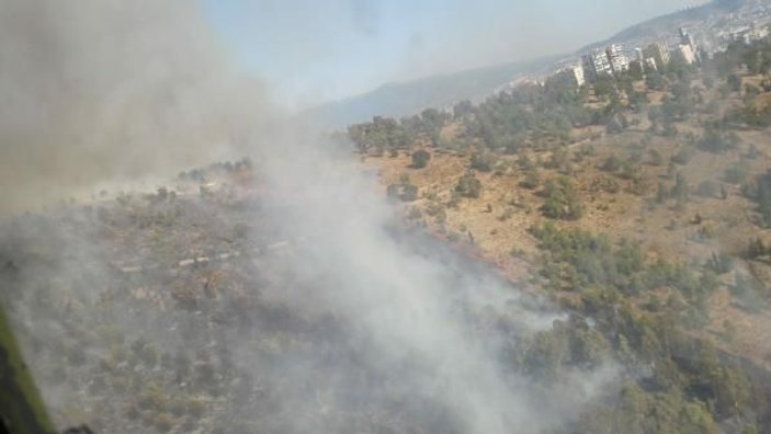 İzmir'de mahalle yakınında orman yangını -2