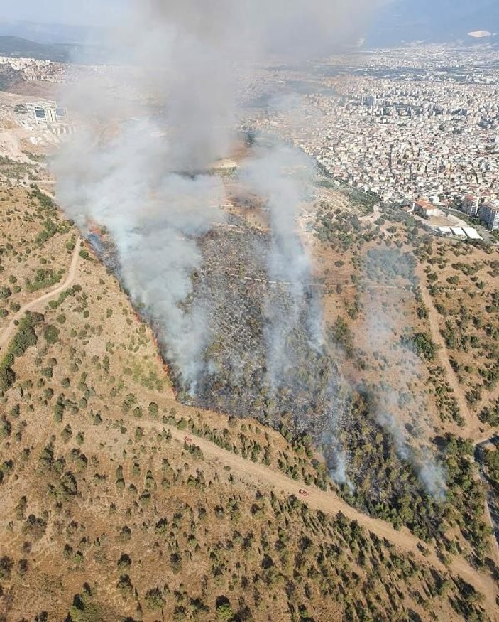 İzmir'de mahalle yakınında orman yangını -1