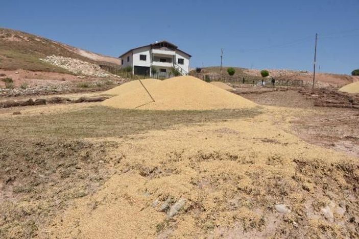 D Bir hafta arayla iki kez dolunun vurduğu köyde, mahsulü sel götürdü -6