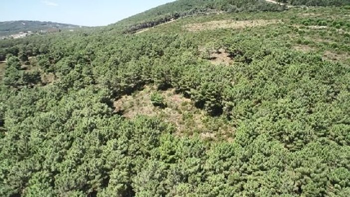 Aydos Ormanı'nda drone ile mangal denetimi yaptı -1