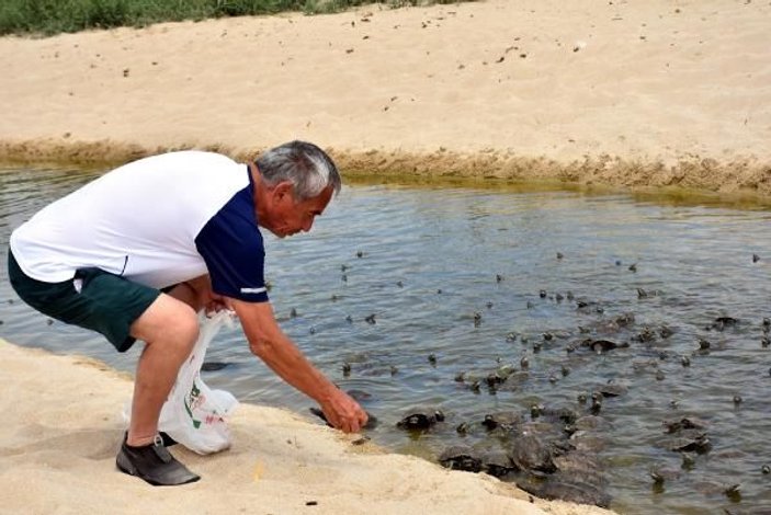 Edirne'de tatilciler kaplumbağaları elleriyle besliyor -2