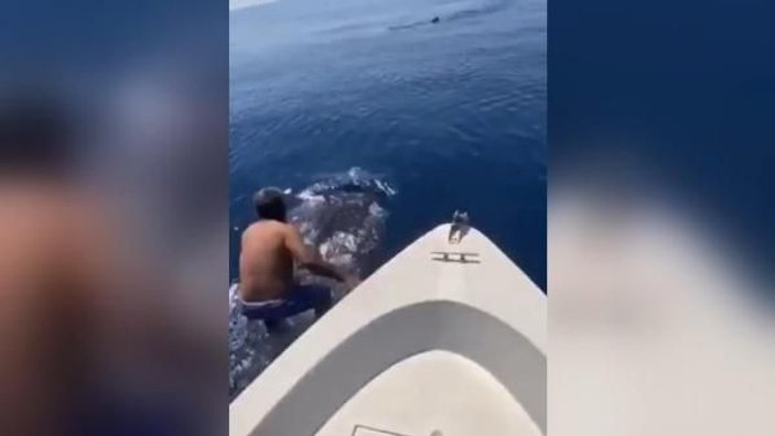 Suudi Arabistan’da bir adam balina köpek balığının sırtına bindi -4
