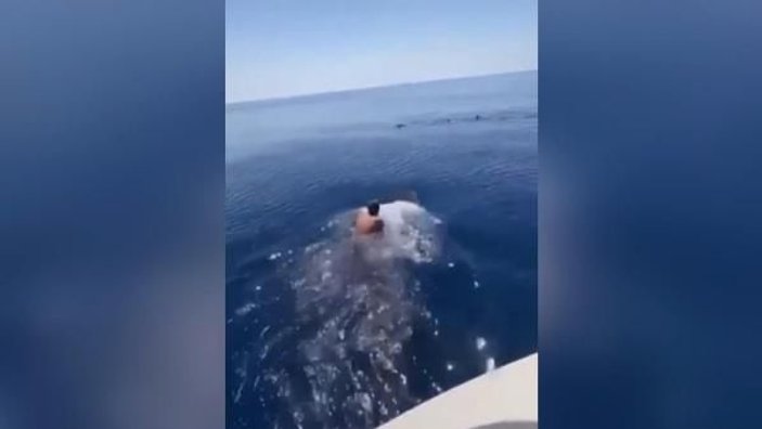 Suudi Arabistan’da bir adam balina köpek balığının sırtına bindi -6