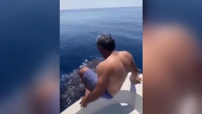 Suudi Arabistan’da bir adam balina köpek balığının sırtına bindi -3