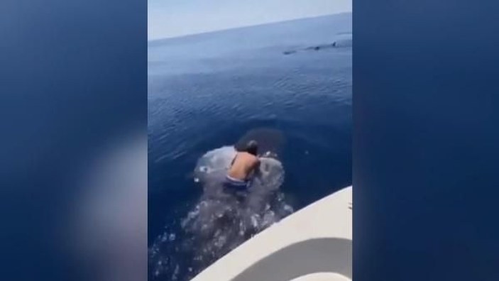 Suudi Arabistan’da bir adam balina köpek balığının sırtına bindi -5