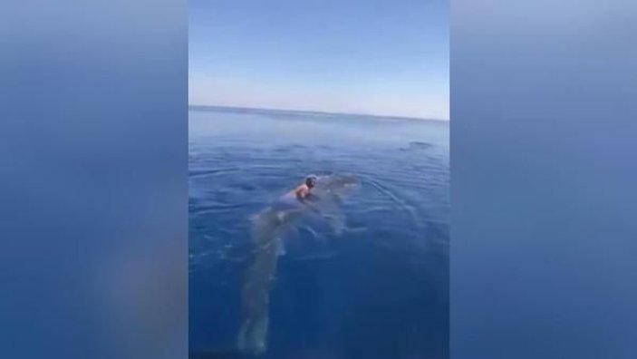 Suudi Arabistan’da bir adam balina köpek balığının sırtına bindi -1