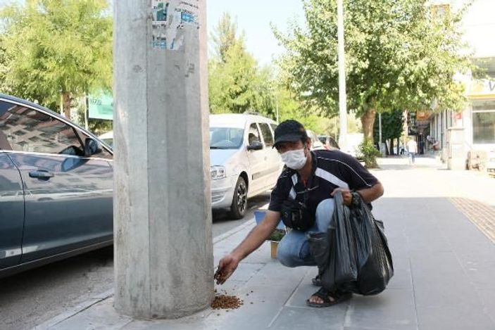 Ayakkabı boyacısı, kazandığının yarısını sokak hayvanlarına harcıyor -2